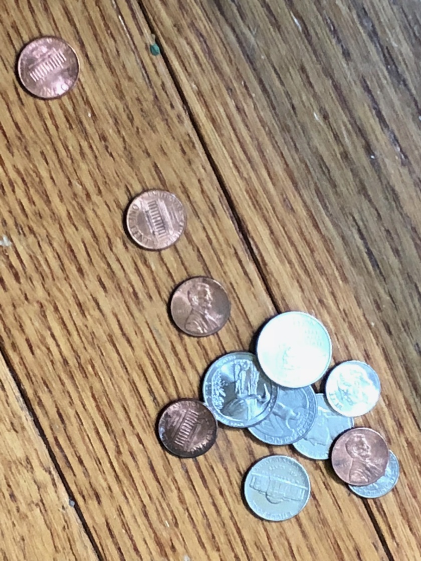 IMG_0427.jpg naps coins 4 july 2018